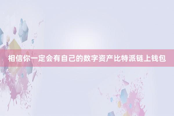 相信你一定会有自己的数字资产比特派链上钱包