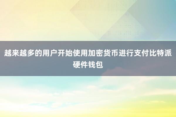 越来越多的用户开始使用加密货币进行支付比特派硬件钱包