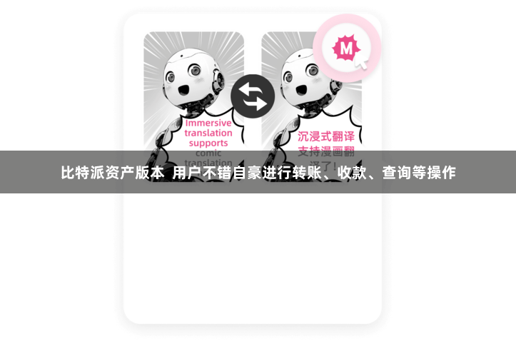 比特派资产版本  用户不错自豪进行转账、收款、查询等操作